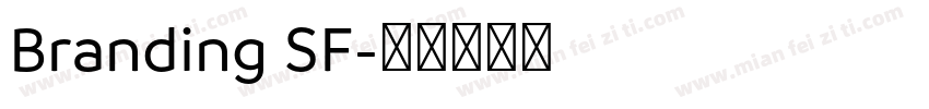 Branding SF字体转换